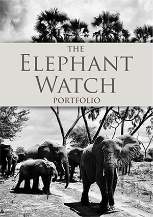 Elephant Watch Portfolio, Elephant Watch Camp, Olerai House, Boutique Safaris, wild safaris, wildlife safaris, conservation, Samburu National Reserve, Big Five, Africa, safaris, travel, Naivasha, Nairobi, Kenya, Maasai Mara