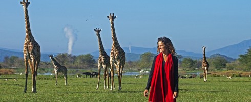 Olerai House, sanctuary, Naivasha, Lake Naivasha, Elephant Watch Portfolio, Nairobi, Kenya, outdoors, giraffes, nature walk, bush walk, walk, wildlife