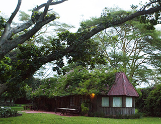 Accommodation, The Cabin, cabin, Olerai House, Olerai, Naivasha, Sanctuary, wildlife, Elephant Watch Portfolio, Nairobi, Kenya