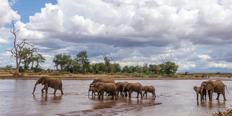 Bill Clinton, Hilary Clinton, Chelsea Clinton, Save the Elephants, STE, Samburu National Reserve, Kenya, Elephant Watch Portfolio, EWP, STE visitors centre, elephants, Clinton's Foundation