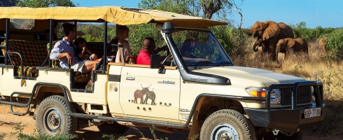 Elephant Watch Camp, Samburu National Reserve, wildlife, wild safaris, wildlife safaris, conservation, Elephant Watch Portfolio, Nairobi, Kenya, experience, activities